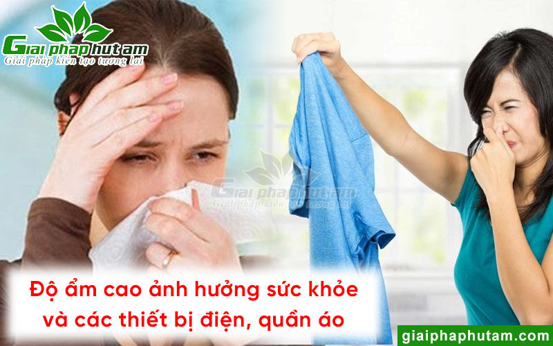 Độ ẩm cao  tại Bảo Lộc ảnh hưởng sức khỏe, quần áo lâu khô dễ ám mùi mốc ẩm