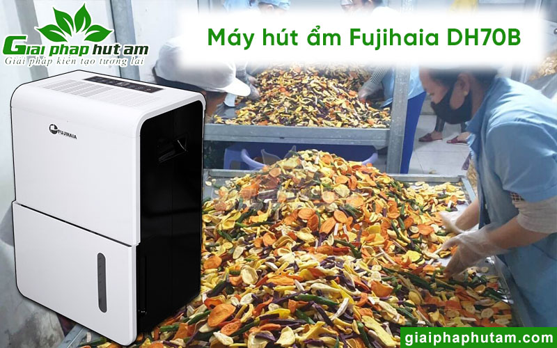 Máy hút ẩm công nghiệp Fujihaia DH70B