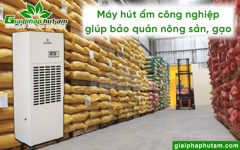 Máy hút ẩm công nghiệp giúp bảo quản nông sản khô