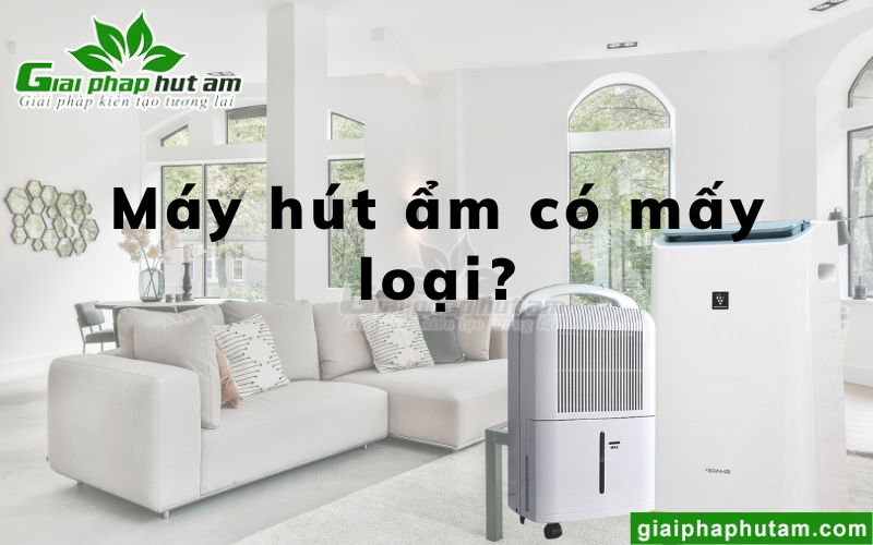 Máy hút ẩm có mấy loại