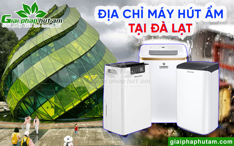 Địa chỉ mua máy hút ẩm tại Đà Lạt