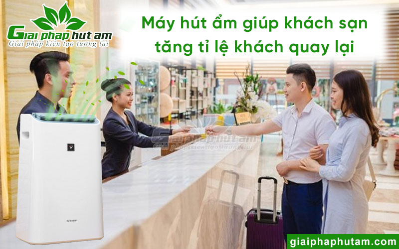 Trang bị máy hút ẩm giúp khách sạn, homestay có lượng khách quay lại cao