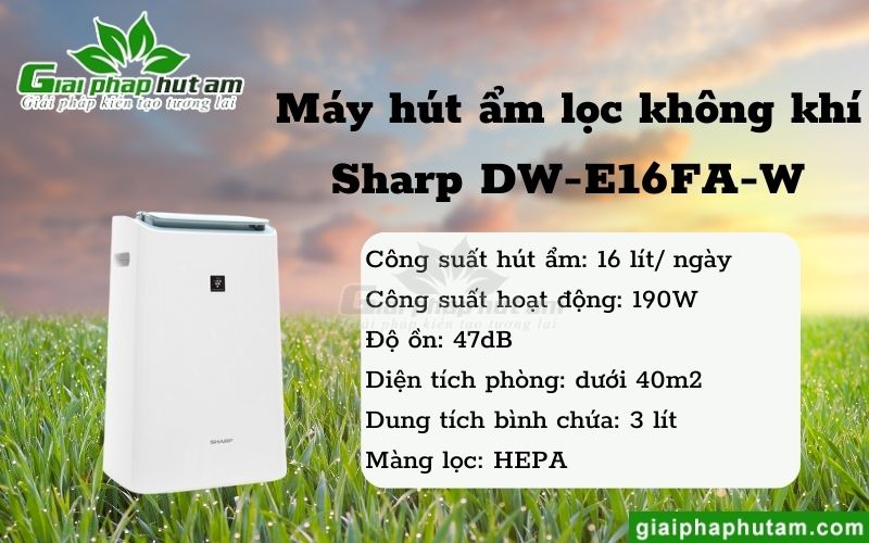 Máy hút ẩm lọc không khí Sharp DW-E16FA-W