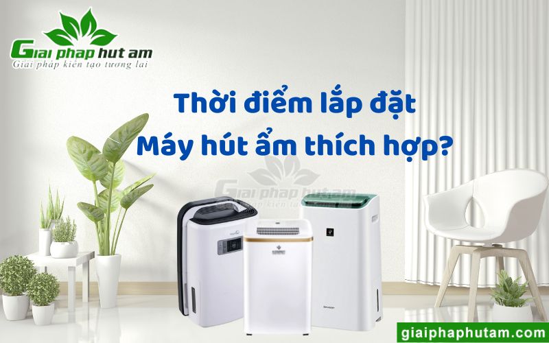 Khi nào nên lắp máy hút ẩm thích hợp nhất?