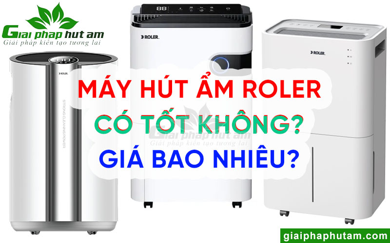 Máy Hút Ẩm Roler Có Tốt Không? Top 4 Model Bán Chạy 2025